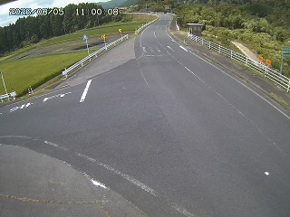 琴浦町三本杉