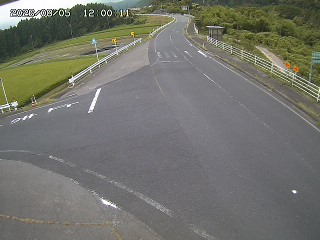 琴浦町三本杉