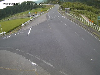 琴浦町三本杉