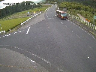 琴浦町三本杉