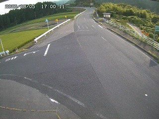 琴浦町三本杉