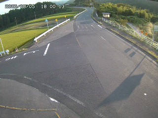 琴浦町三本杉