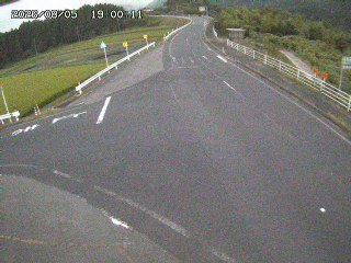 琴浦町三本杉