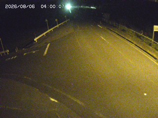 琴浦町三本杉