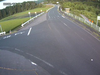 琴浦町三本杉