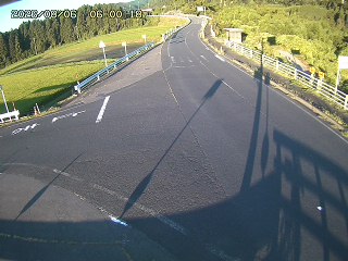 琴浦町三本杉