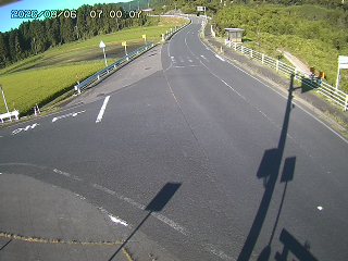琴浦町三本杉