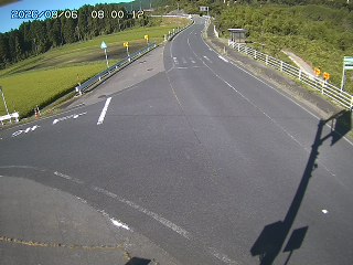 琴浦町三本杉