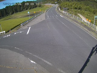 琴浦町三本杉