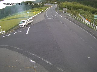 琴浦町三本杉