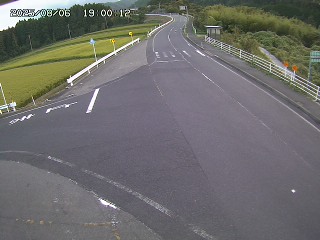 琴浦町三本杉