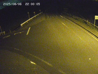 琴浦町三本杉