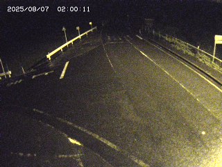 琴浦町三本杉
