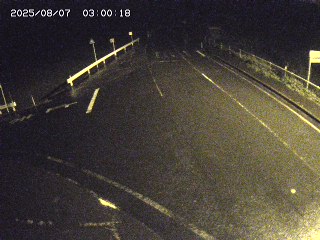 琴浦町三本杉