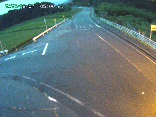 琴浦町三本杉
