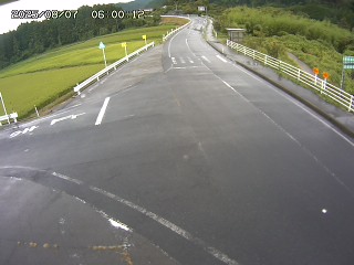 琴浦町三本杉