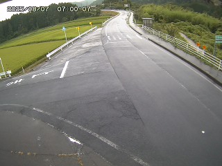 琴浦町三本杉
