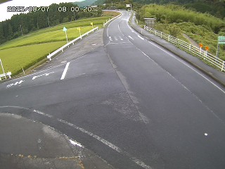 琴浦町三本杉