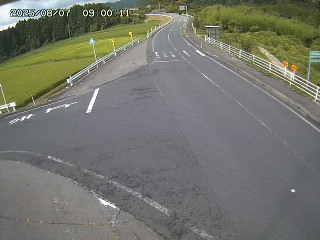 琴浦町三本杉