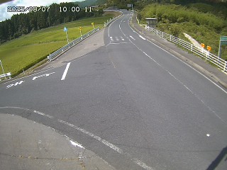 琴浦町三本杉