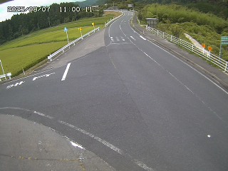 琴浦町三本杉