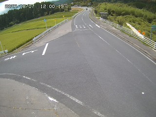 琴浦町三本杉