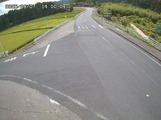 琴浦町三本杉