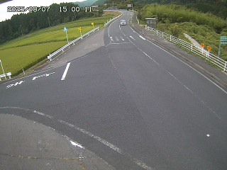 琴浦町三本杉