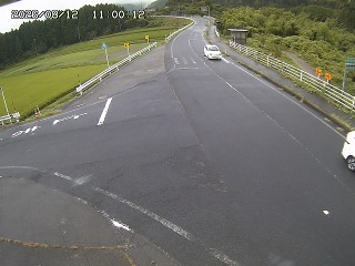 琴浦町三本杉
