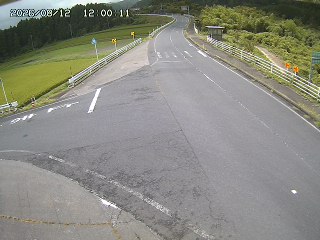 琴浦町三本杉
