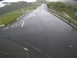 琴浦町三本杉