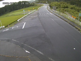 琴浦町三本杉