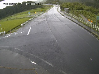 琴浦町三本杉