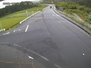 琴浦町三本杉
