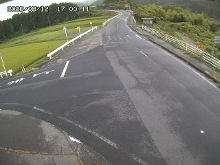 琴浦町三本杉