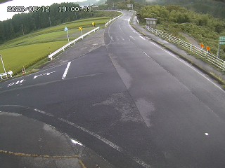 琴浦町三本杉