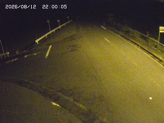 琴浦町三本杉