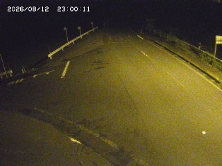 琴浦町三本杉