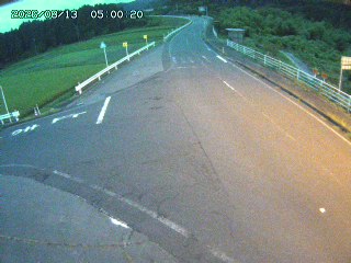 琴浦町三本杉