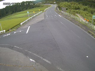 琴浦町三本杉