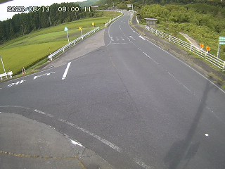 琴浦町三本杉