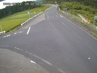琴浦町三本杉