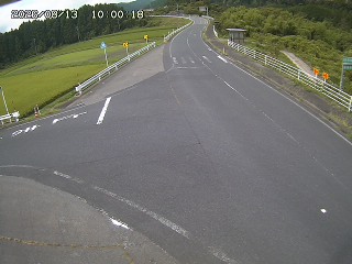 琴浦町三本杉