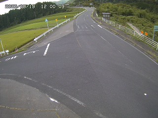 琴浦町三本杉