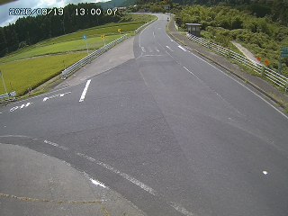 琴浦町三本杉