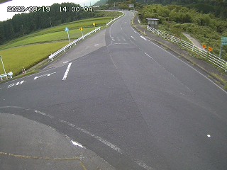 琴浦町三本杉