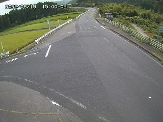 琴浦町三本杉