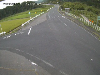 琴浦町三本杉