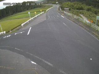 琴浦町三本杉