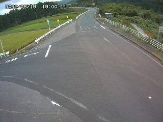 琴浦町三本杉